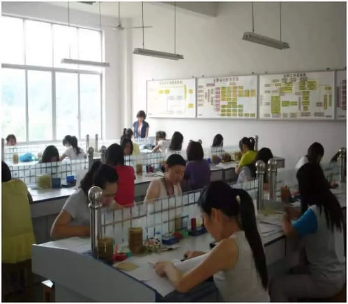 交通工程管理 連接未來與效率的專業(yè)選擇